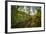 Mt Biker Rides The Singletrack On The Putt Putt Trail Across From Snow King Ski Area, Jackson, WY-Jay Goodrich-Framed Photographic Print