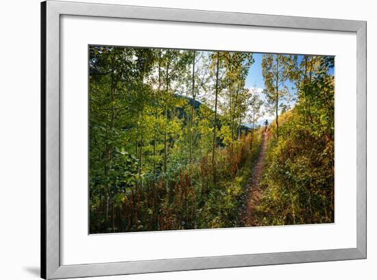 Mt Biker Rides The Singletrack On The Putt Putt Trail Across From Snow King Ski Area, Jackson, WY-Jay Goodrich-Framed Photographic Print