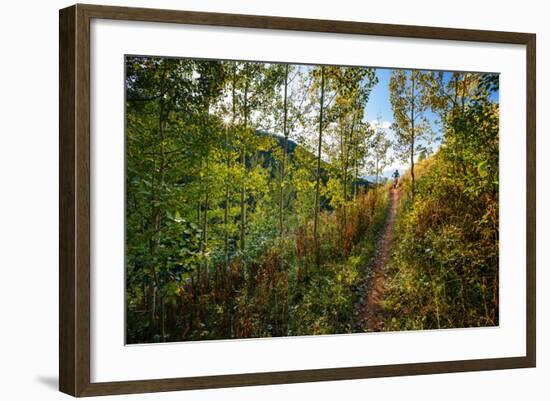 Mt Biker Rides The Singletrack On The Putt Putt Trail Across From Snow King Ski Area, Jackson, WY-Jay Goodrich-Framed Photographic Print