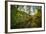 Mt Biker Rides The Singletrack On The Putt Putt Trail Across From Snow King Ski Area, Jackson, WY-Jay Goodrich-Framed Photographic Print