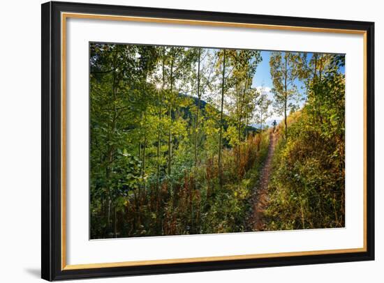 Mt Biker Rides The Singletrack On The Putt Putt Trail Across From Snow King Ski Area, Jackson, WY-Jay Goodrich-Framed Photographic Print