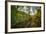 Mt Biker Rides The Singletrack On The Putt Putt Trail Across From Snow King Ski Area, Jackson, WY-Jay Goodrich-Framed Photographic Print