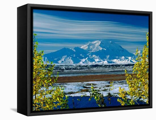 Mt. Denali After First Snowfall of the Summer, Denali National Park, Alaska, USA-Charles Sleicher-Framed Premier Image Canvas