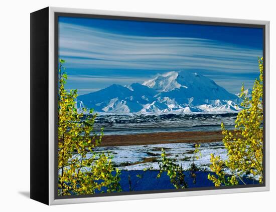 Mt. Denali After First Snowfall of the Summer, Denali National Park, Alaska, USA-Charles Sleicher-Framed Premier Image Canvas