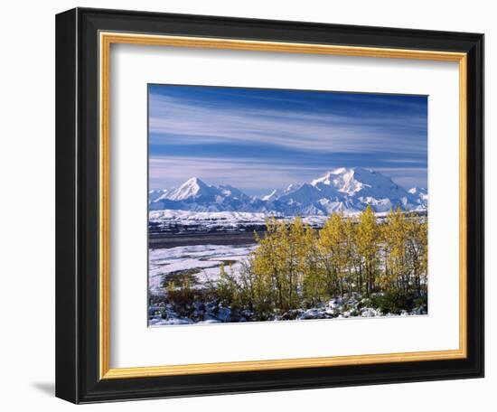 Mt. Denali, Alaska, USA-Charles Sleicher-Framed Photographic Print