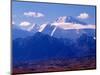 Mt. Denali and Muldrow Glacier Covered with Veneer of Vegetation, Alaska, USA-Charles Sleicher-Mounted Photographic Print