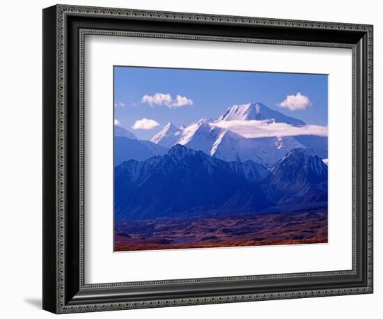 Mt. Denali and Muldrow Glacier Covered with Veneer of Vegetation, Alaska, USA-Charles Sleicher-Framed Photographic Print