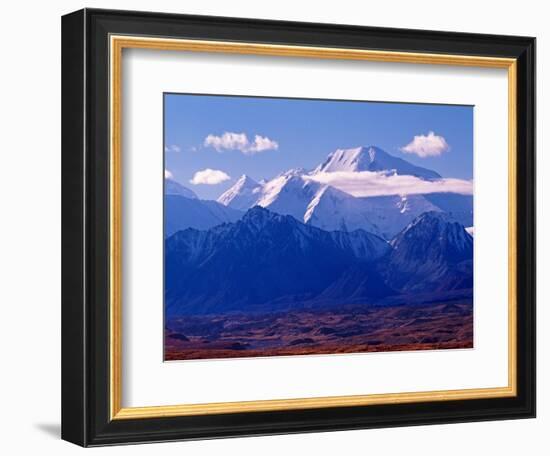 Mt. Denali and Muldrow Glacier Covered with Veneer of Vegetation, Alaska, USA-Charles Sleicher-Framed Photographic Print