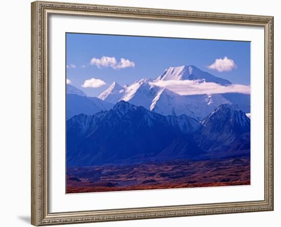 Mt. Denali and Muldrow Glacier Covered with Veneer of Vegetation, Alaska, USA-Charles Sleicher-Framed Photographic Print