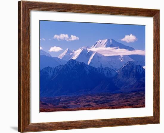 Mt. Denali and Muldrow Glacier Covered with Veneer of Vegetation, Alaska, USA-Charles Sleicher-Framed Photographic Print