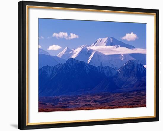 Mt. Denali and Muldrow Glacier Covered with Veneer of Vegetation, Alaska, USA-Charles Sleicher-Framed Photographic Print