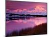 Mt. Denali at Sunset From Reflection Pond in Denali National Park, Alaska, USA-Charles Sleicher-Mounted Photographic Print