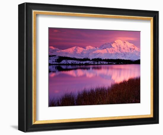 Mt. Denali at Sunset From Reflection Pond in Denali National Park, Alaska, USA-Charles Sleicher-Framed Photographic Print