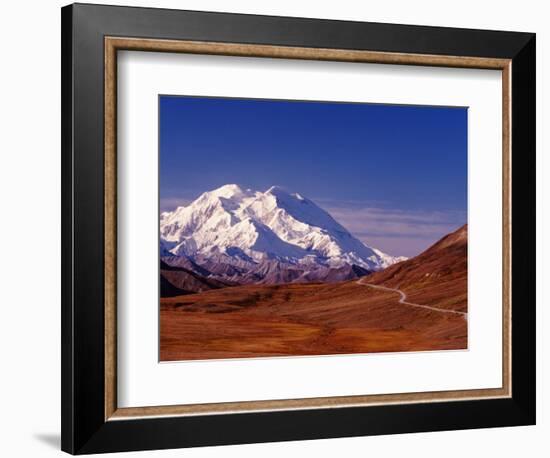 Mt. Denali from Stony Hill in Fall, Mt. McKinley, Alaska, USA-Charles Sleicher-Framed Photographic Print