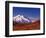 Mt. Denali from Stony Hill in Fall, Mt. McKinley, Alaska, USA-Charles Sleicher-Framed Photographic Print