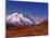 Mt. Denali from Stony Hill in Fall, Mt. McKinley, Alaska, USA-Charles Sleicher-Mounted Photographic Print