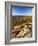 Mt Desert Island, Autumn View, Acadia National Park, Maine, USA-Adam Jones-Framed Photographic Print