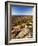 Mt Desert Island, Autumn View, Acadia National Park, Maine, USA-Adam Jones-Framed Photographic Print