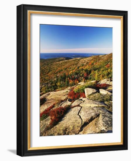 Mt Desert Island, Autumn View, Acadia National Park, Maine, USA-Adam Jones-Framed Photographic Print