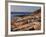 Mt Desert Island, View of Rocks with Forest, Acadia National Park, Maine, USA-Adam Jones-Framed Photographic Print