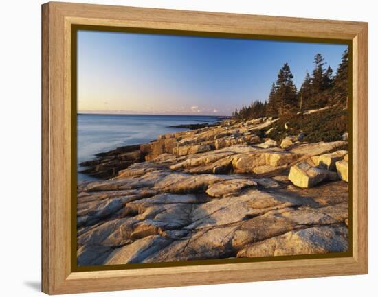 Mt Desert Island, View of Rocks with Forest, Acadia National Park, Maine, USA-Adam Jones-Framed Premier Image Canvas