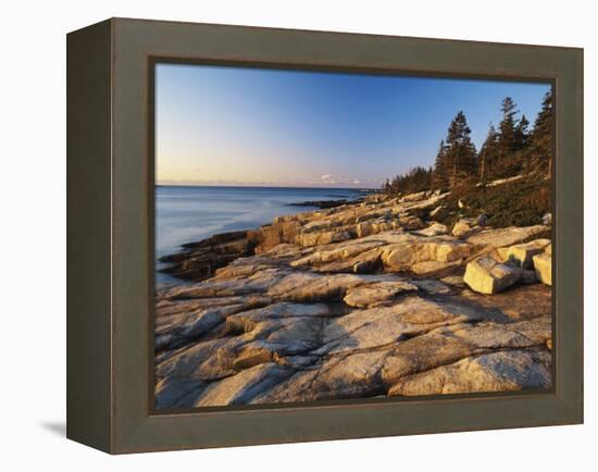 Mt Desert Island, View of Rocks with Forest, Acadia National Park, Maine, USA-Adam Jones-Framed Premier Image Canvas