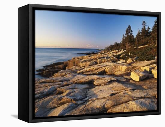 Mt Desert Island, View of Rocks with Forest, Acadia National Park, Maine, USA-Adam Jones-Framed Premier Image Canvas