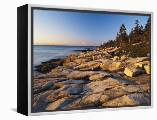 Mt Desert Island, View of Rocks with Forest, Acadia National Park, Maine, USA-Adam Jones-Framed Premier Image Canvas