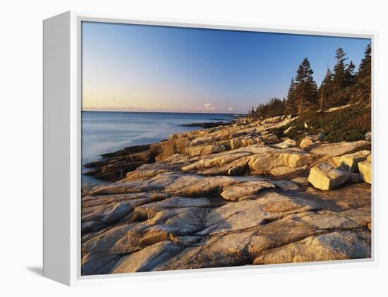 Mt Desert Island, View of Rocks with Forest, Acadia National Park, Maine, USA-Adam Jones-Framed Premier Image Canvas