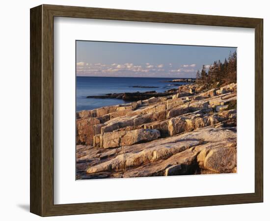 Mt Desert Island, View of Rocks with Forest, Acadia National Park, Maine, USA-Adam Jones-Framed Photographic Print