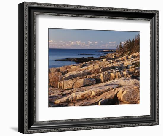 Mt Desert Island, View of Rocks with Forest, Acadia National Park, Maine, USA-Adam Jones-Framed Photographic Print