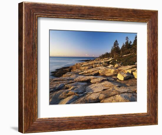 Mt Desert Island, View of Rocks with Forest, Acadia National Park, Maine, USA-Adam Jones-Framed Photographic Print