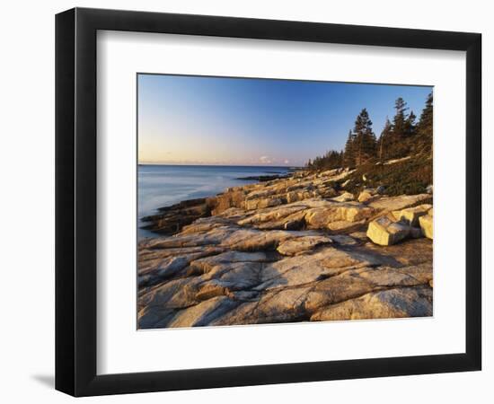 Mt Desert Island, View of Rocks with Forest, Acadia National Park, Maine, USA-Adam Jones-Framed Photographic Print