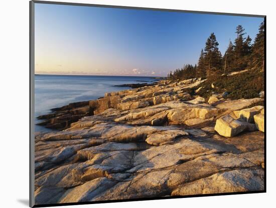 Mt Desert Island, View of Rocks with Forest, Acadia National Park, Maine, USA-Adam Jones-Mounted Photographic Print