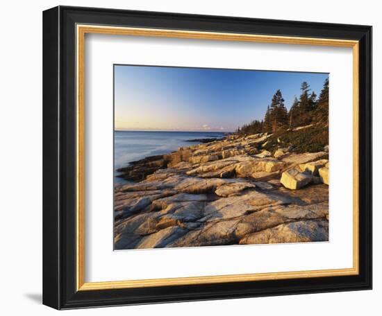 Mt Desert Island, View of Rocks with Forest, Acadia National Park, Maine, USA-Adam Jones-Framed Photographic Print