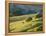 Mt. Diablo State Park, California, Usa-Paul Colangelo-Framed Premier Image Canvas