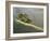 Mt. Diablo State Park, California, Usa-Paul Colangelo-Framed Photographic Print