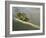 Mt. Diablo State Park, California, Usa-Paul Colangelo-Framed Photographic Print