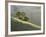 Mt. Diablo State Park, California, Usa-Paul Colangelo-Framed Photographic Print