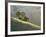 Mt. Diablo State Park, California, Usa-Paul Colangelo-Framed Photographic Print