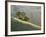 Mt. Diablo State Park, California, Usa-Paul Colangelo-Framed Photographic Print