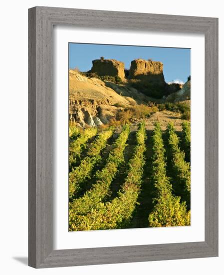 Mt Difficulty Vineyard and Historic Sluicings, Bannockburn, South Island, New Zealand-David Wall-Framed Photographic Print