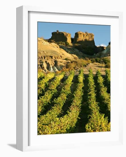 Mt Difficulty Vineyard and Historic Sluicings, Bannockburn, South Island, New Zealand-David Wall-Framed Photographic Print
