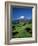 Mt.Egmont, Taranaki, North Island, New Zealand-Steve Vidler-Framed Photographic Print