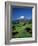 Mt.Egmont, Taranaki, North Island, New Zealand-Steve Vidler-Framed Photographic Print