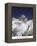 Mt Everest Summit-AdventureArt-Framed Premier Image Canvas