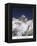 Mt Everest Summit-AdventureArt-Framed Premier Image Canvas