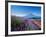 Mt. Fuji and a Lavender Bush-null-Framed Photographic Print