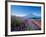 Mt. Fuji and a Lavender Bush-null-Framed Photographic Print