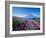 Mt. Fuji and a Lavender Bush-null-Framed Photographic Print